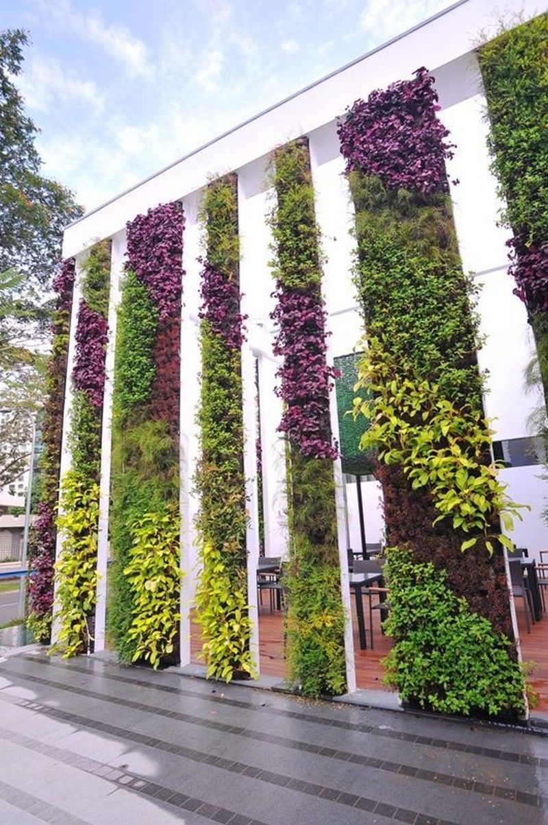 HANGING GARDENS  Hanging garden, String garden, Garden inspiration